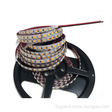 IP 68 DC 12V 600 LED Strip Lights for Building Exterior, 5050 RGB+W, 120LED/m, Two Color LED Strip